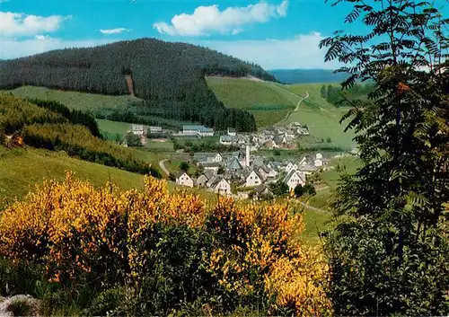 AK / Ansichtskarte 73942496 Silbach__Winterberg_Hochsauerlandkreis Bergfreiheit Panorama