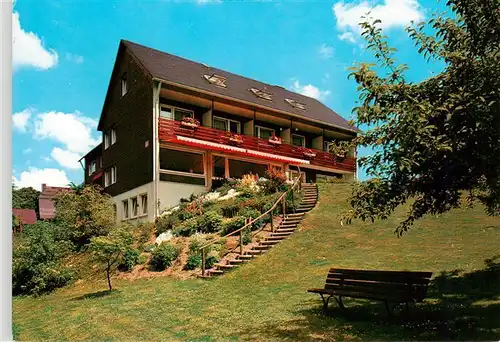 AK / Ansichtskarte  Olsberg_Sauerland Haus am Dahle Pension