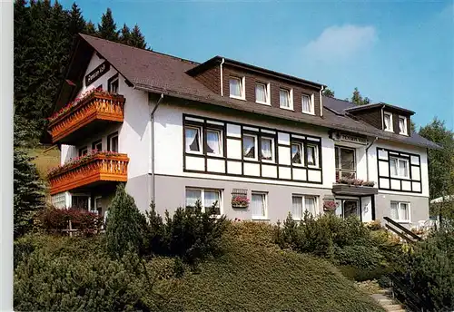 AK / Ansichtskarte  Niedersfeld_Winterberg Pension Voss