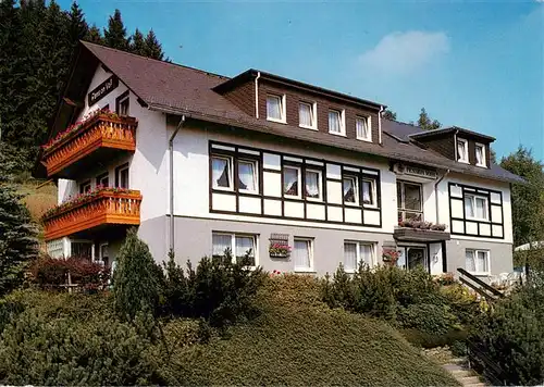 AK / Ansichtskarte  Niedersfeld_Winterberg Pension Voss