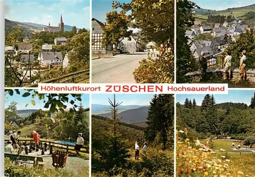 AK / Ansichtskarte  Zueschen__Sauerland Teilansichten Ortspartien Gartenschach Panorama