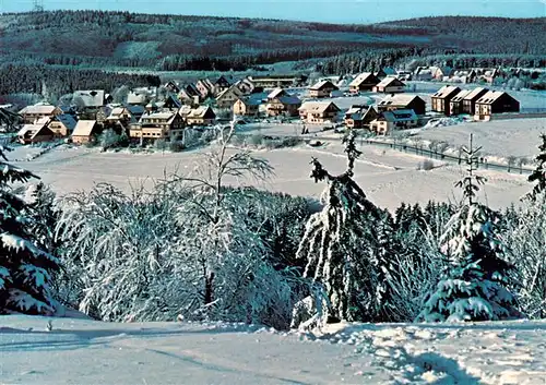 AK / Ansichtskarte  Altastenberg Winterpanorama