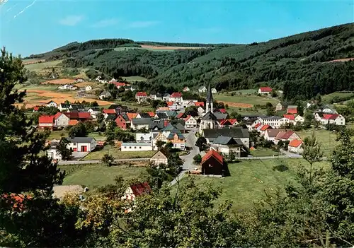 AK / Ansichtskarte  Duedinghausen_Medebach Panorama