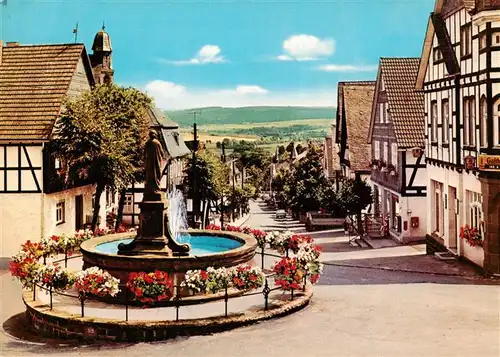 AK / Ansichtskarte  Hallenberg Brunnen