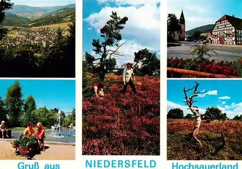 AK / Ansichtskarte  Niedersfeld_Winterberg Panorama Heidelandschaft Fachwerkhaus Schwimmbad 