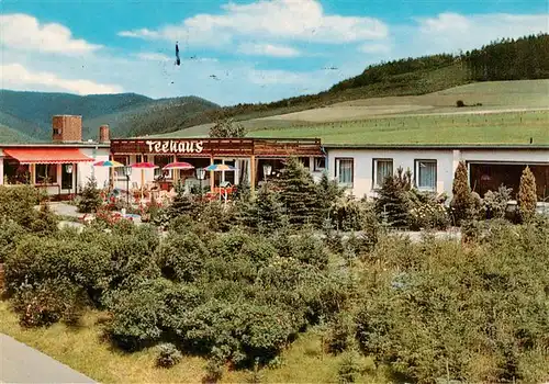 AK / Ansichtskarte  Freienohl_Sauerland Hotel Teehaus