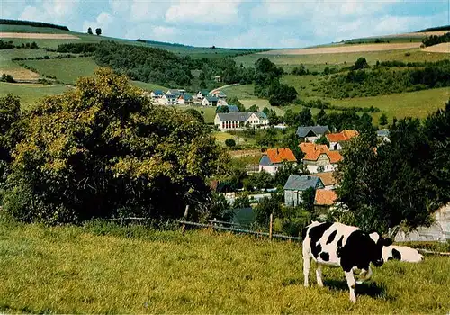 AK / Ansichtskarte 73943410 Deifeld_Medebach Panorama Gasthof Oberreuter