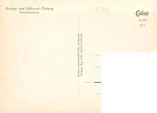 AK / Ansichtskarte  Olsberg_Sauerland Fliegeraufnahme