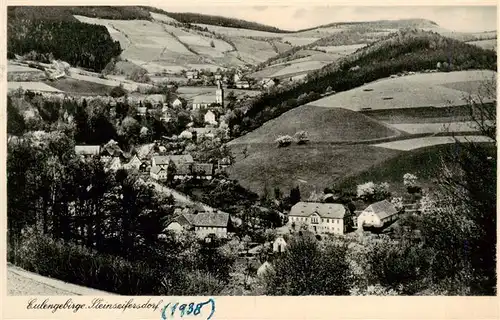 AK / Ansichtskarte  Steinseifersdorf Panorama Eulengebirge