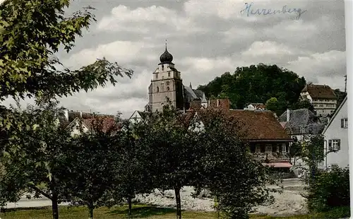 AK / Ansichtskarte 73943647 Herrenberg_Gaeu_BW Stiftskirche mit Schlossberg