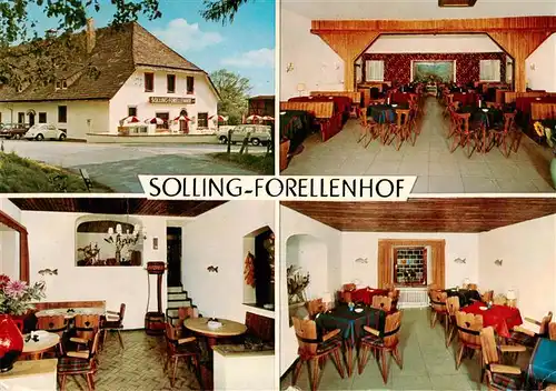 AK / Ansichtskarte  Brueggefeld_Lauenfoerde Solling Forellenhof Gastraum