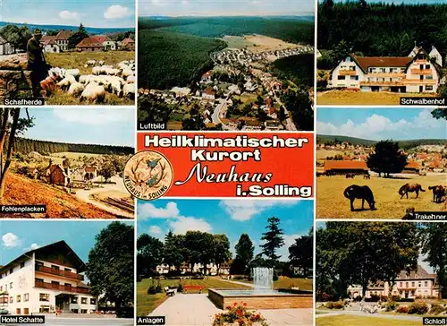 AK / Ansichtskarte 73944015 Neuhaus_Solling Schafherde Fohlenpacken Hotel Schwalbenhof Trakehner Schloss Parkanlagen Luftbild