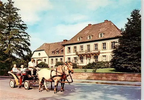 AK / Ansichtskarte 73944035 Neuhaus_Solling Schloss Pferdekutsche