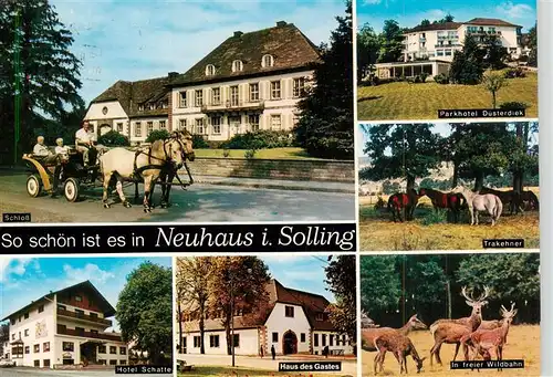 AK / Ansichtskarte 73944347 Neuhaus_Solling Parkhotel Duesterdiek Schloss Trakehner Pferde Hotel Haus des Gastes Wild