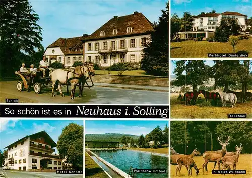 AK / Ansichtskarte 73944357 Neuhaus_Solling Schloss Pferdekutsche Parkhotel Duesterdiek Trakehner Pferde Hotel Freibad Wild