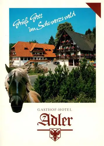AK / Ansichtskarte 73944416 St_Roman_Wolfach Gasthof Hotel Adler im Schwarzwald Pferd