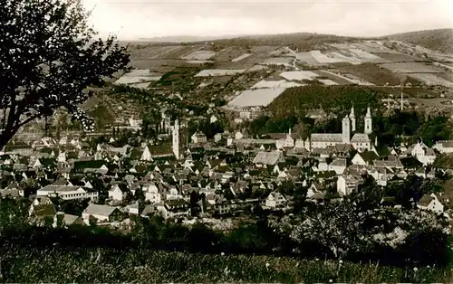 AK / Ansichtskarte  Bad_Mergentheim Panorama