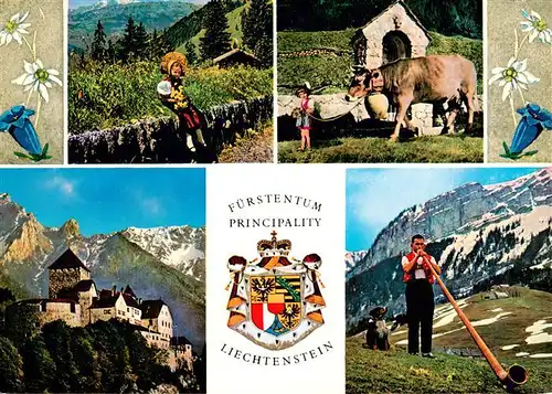 AK / Ansichtskarte 73944871 Liechtenstein_Fuerstentum Schloss Vaduz Nationaltracht Alpabfahrt Alphornblaeser