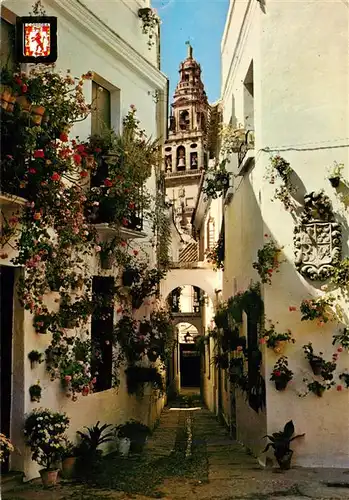 AK / Ansichtskarte 73944918 Cordoba_Andalucia_ES Calleja de la Flores