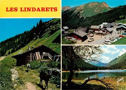 AK / Ansichtskarte  Les_Lindarets_74_Haute-Savoie Vue générale des chèvres Lac de Montriond