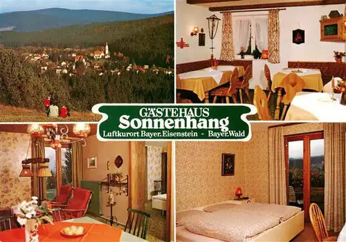 AK / Ansichtskarte  Bayerisch_Eisenstein Gaestehaus Sonnenhang Fremdenzimmer Panorama