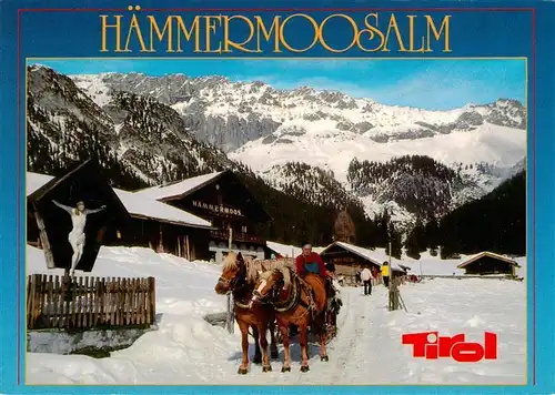 AK / Ansichtskarte  Leutasch_Tirol_AT Haemmermoosalm Pferdeschlitten