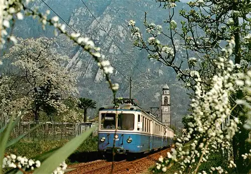 AK / Ansichtskarte  Le_Centovalli_Cento-Valli_TI Eisenbahn Zug Baumbluete