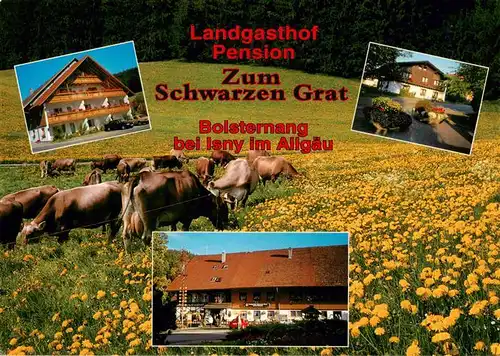 AK / Ansichtskarte  Bolsternang Landgasthof Pension Zum Schwarzen Grat Sommeridylle Viehweide