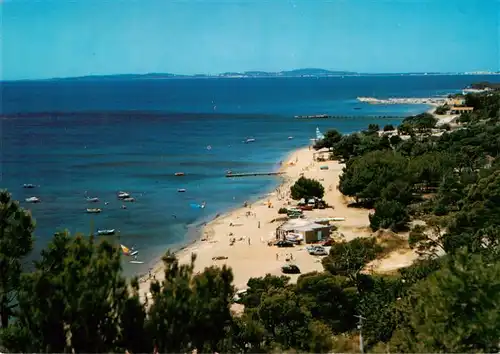 AK / Ansichtskarte  La_Londe-les-Maures_83_Var Plage de l'Argentiere