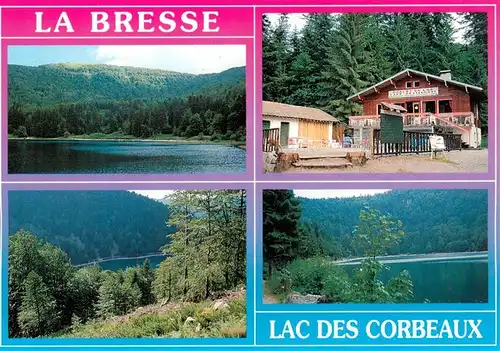 AK / Ansichtskarte  La_Bresse_88_Vosges Lac des Corbeaux Chalet du Lac Cafe Restaurant