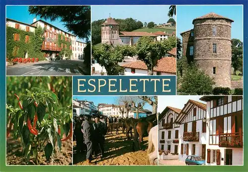 AK / Ansichtskarte  Espelette_64_Pyrenees-Atlantiques Piments dEspelette Foire aux pottoks