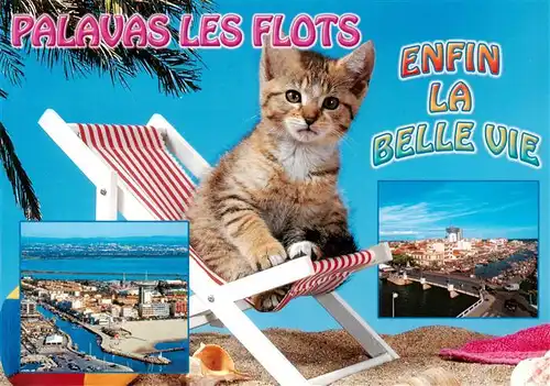 AK / Ansichtskarte  Palavas-les-Flots_34 Enfin La Belle Vie