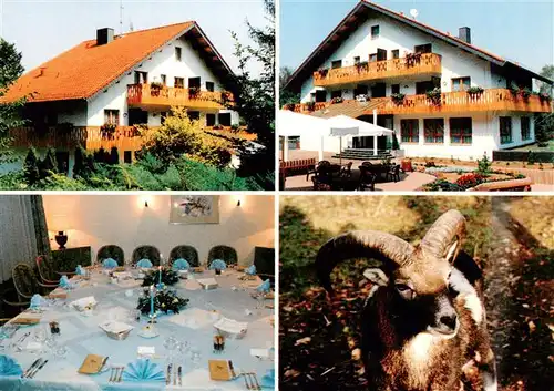 AK / Ansichtskarte 73946662 Meisdorf_Falkenstein_Harz Hotel Forsthaus Restaurant Mufflonwild