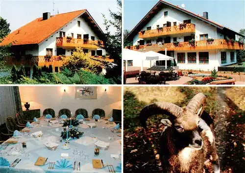 AK / Ansichtskarte  Meisdorf_Falkenstein_Harz Hotel Forsthaus Restaurant Mufflonwild