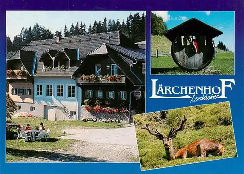 AK / Ansichtskarte 73946674 Vorau_Steiermark_AT Laerchenhof Lembaecker Hirsch