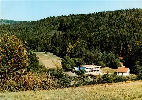 AK / Ansichtskarte  Oberlohrgrund Hotel Restaurant Pension Immenhof