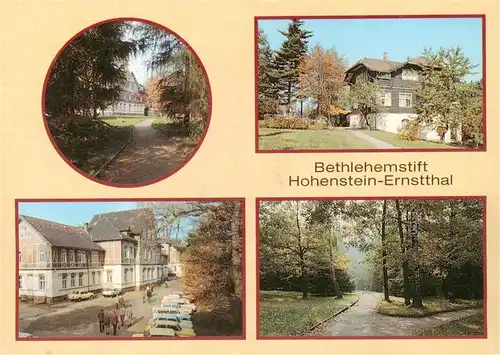 AK / Ansichtskarte 73946768 Hohenstein-Ernstthal Bethlehemstift Waldhaus Blockhaus Altersheim Park