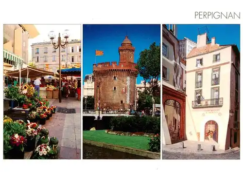 AK / Ansichtskarte  Perpignan Marché Place de la République Quais de la Basse Castillet Rue des Dragons