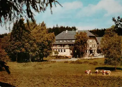 AK / Ansichtskarte  Rothaus_Grafenhausen Hotel Kurhaus Rothaus mit Dependance