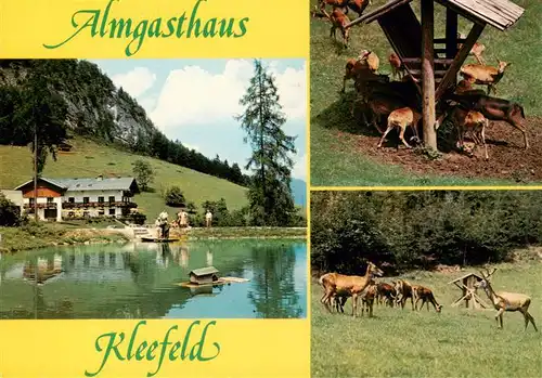 AK / Ansichtskarte  Strobl_Wolfgangsee_AT Almgasthaus Kleefeld Wildgehege