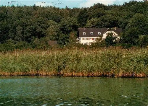 AK / Ansichtskarte  Horn-Bad_Meinberg Waldhotel Entenkrug