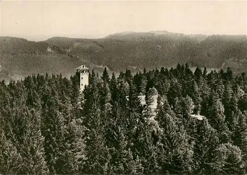 AK / Ansichtskarte  Loffenau_Bad_Herrenalb Hoehengasthaus Teufelsmuehle Aussichtsturm Schwarzwald