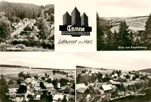 AK / Ansichtskarte  Tanne_Harz Waldstrasse Blick vom Kapitelsberg Kleine Bergstrasse Blick vom Ziegenkopf