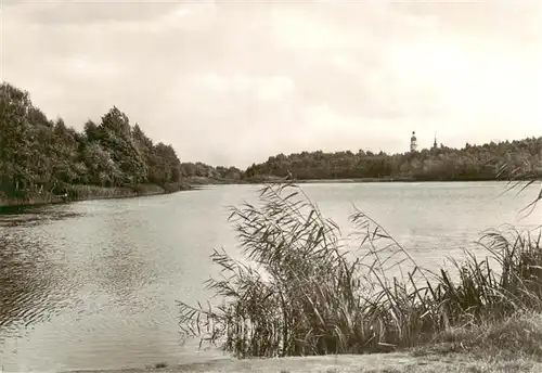 AK / Ansichtskarte  Reinharz_Duebener_Heide Rote Muehlen Teich