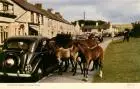 AK / Ansichtskarte 73947470 Princetown__UK Dartmoor Ponies
