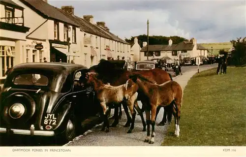 AK / Ansichtskarte  Princetown__UK Dartmoor Ponies