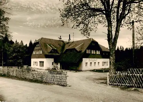 AK / Ansichtskarte  Joehstadt Berghof Gasthaus