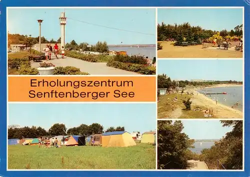 AK / Ansichtskarte  Senftenberg__Niederlausitz_Brandenburg Strandpromenae Campingplatz Sportanlage Strand Seeblick