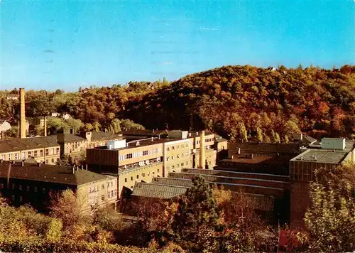 AK / Ansichtskarte  Meissen_Elbe_Sachsen VEB Staatl Porzellan Manufaktur Teilansicht der Manufaktur im Triebachtal