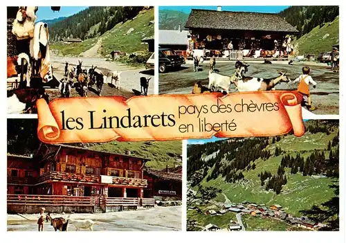 AK / Ansichtskarte  Les_Lindarets_74_Haute-Savoie Le village des chèvres en liberté